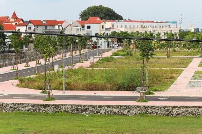 De xuat phat nang nguoi dau gia 30 ty/m2 dat Soc Son roi 'xin' rut hinh anh