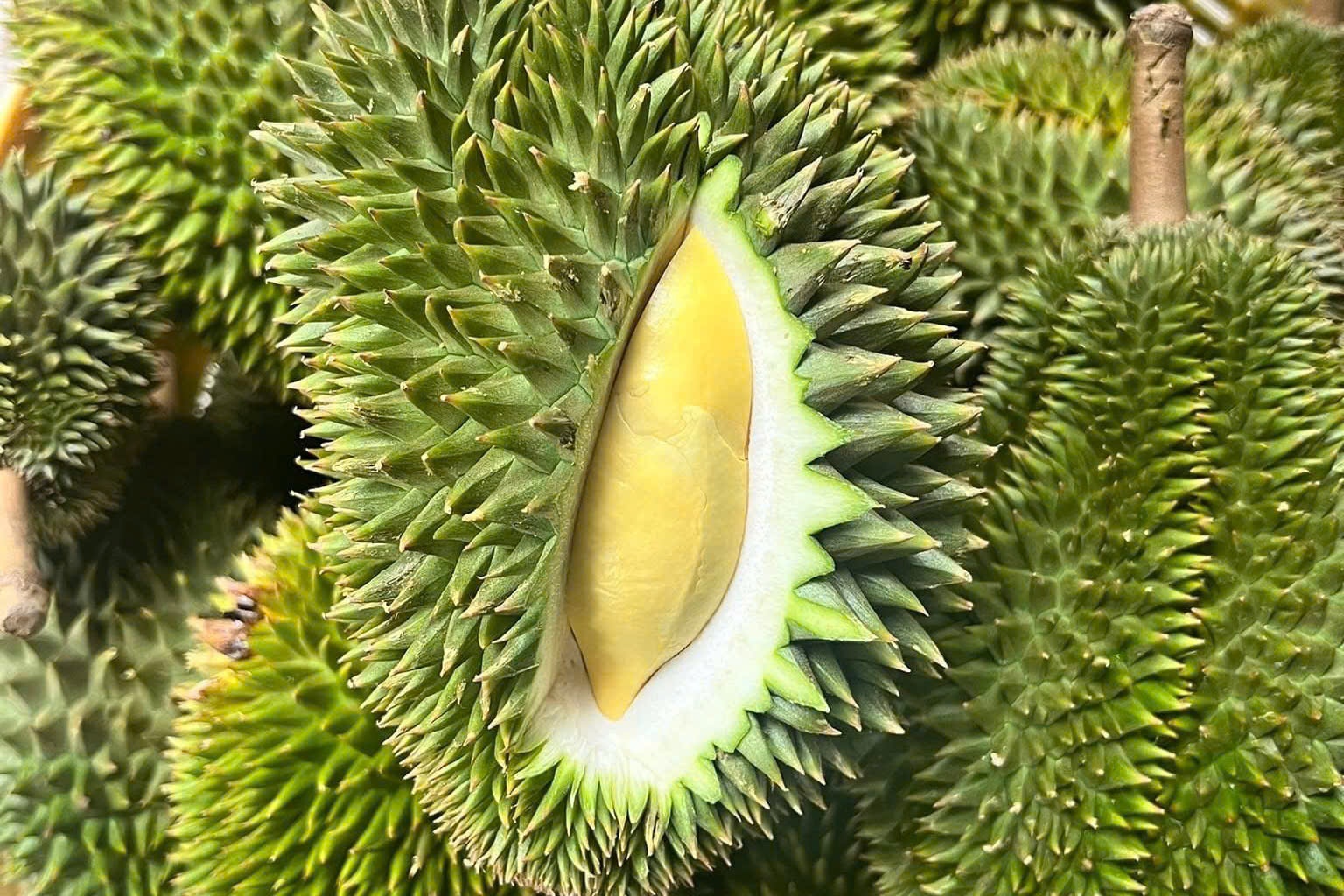 Sau rieng Viet Nam vuot Thai Lan xuat khau vao Trung Quoc hinh anh