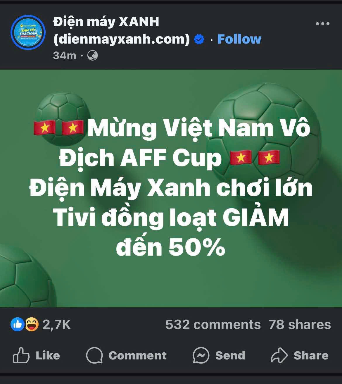 Viet Nam vo dich anh 3