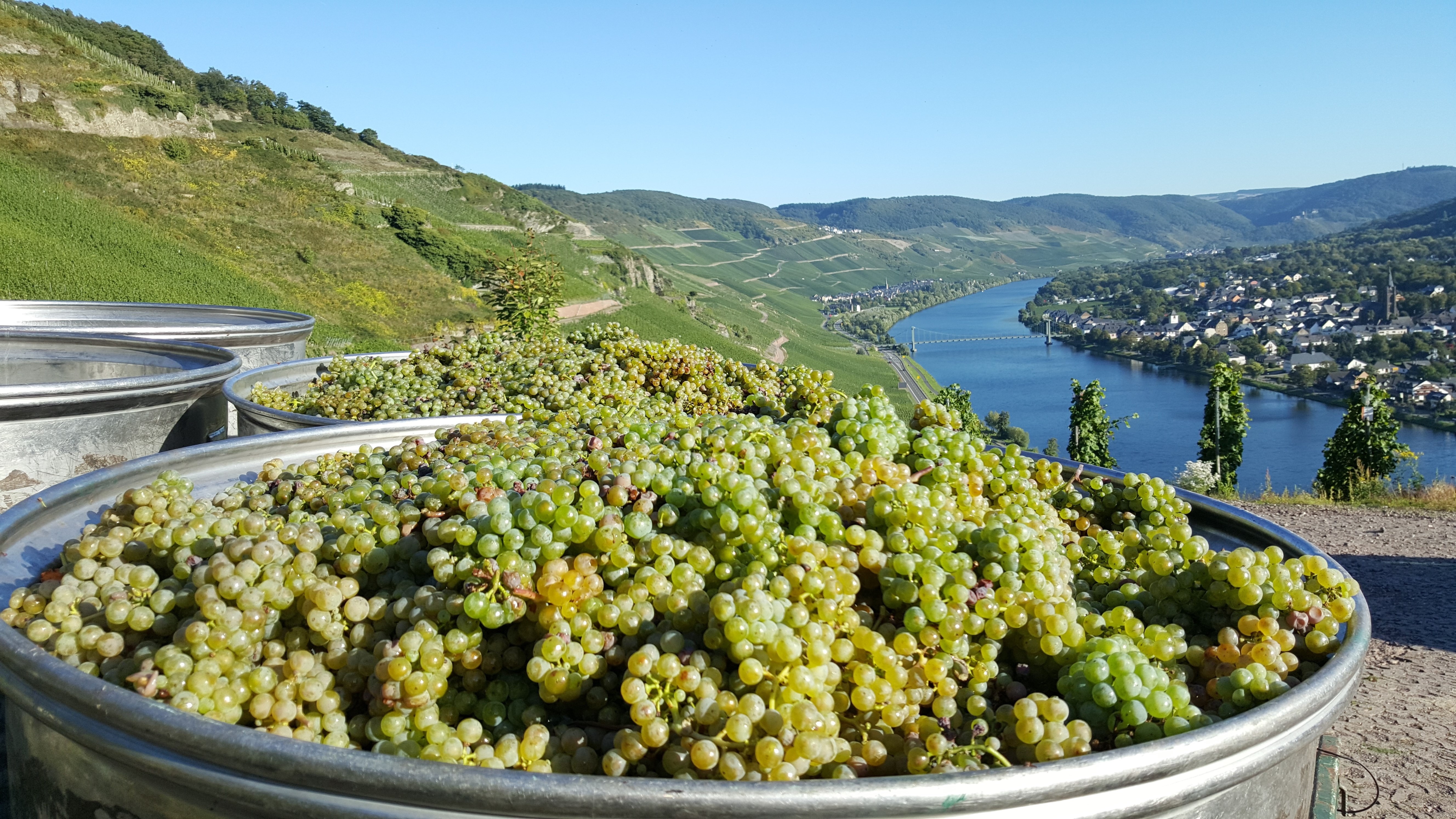 Doanh nghiep chau Au van loay hoay voi thue quan hinh anh