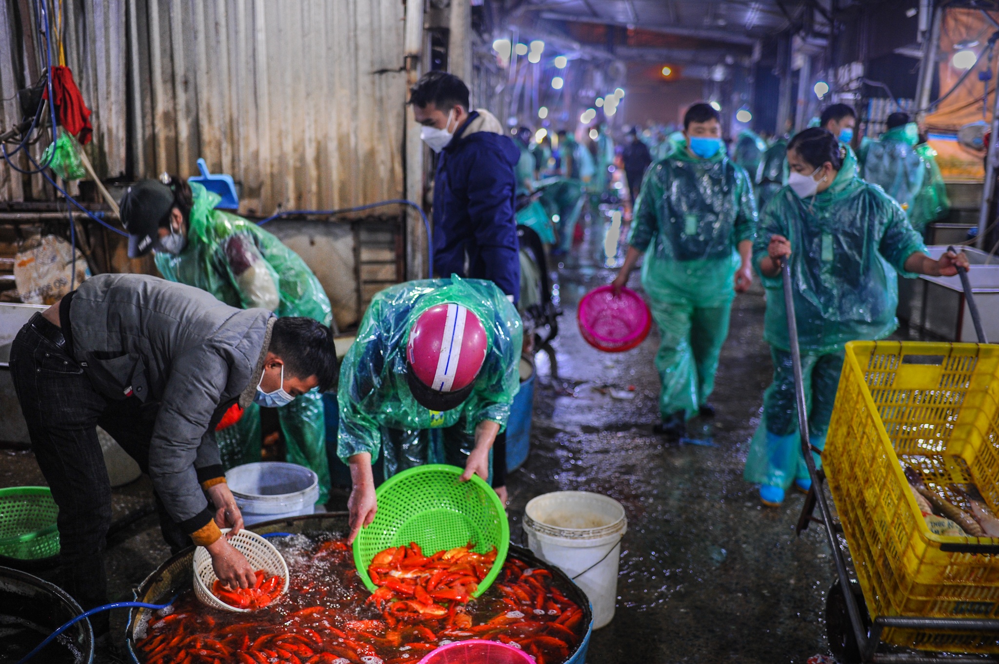 Tet ong cong ong tao anh 1