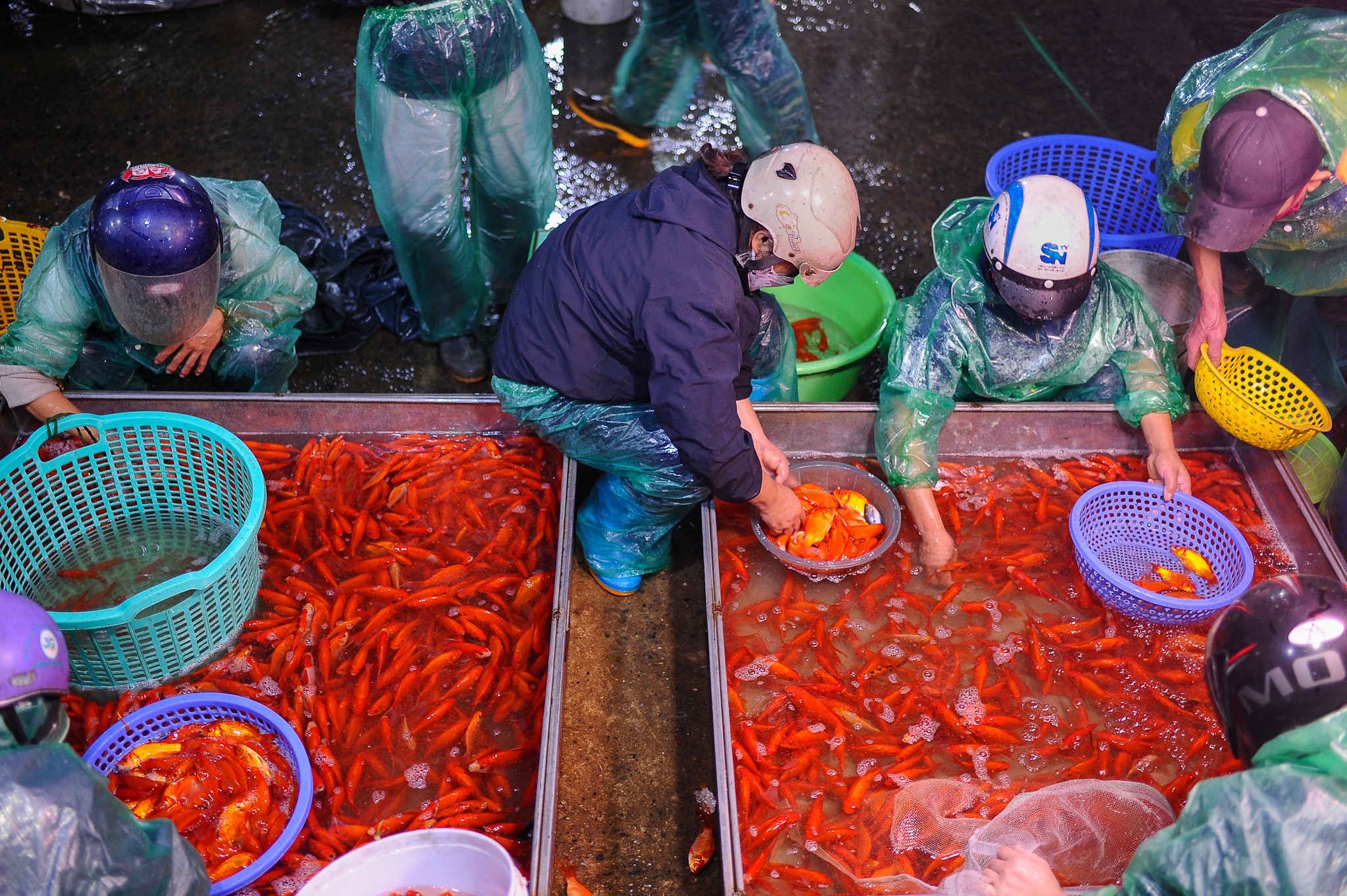 Tet ong cong ong tao anh 9