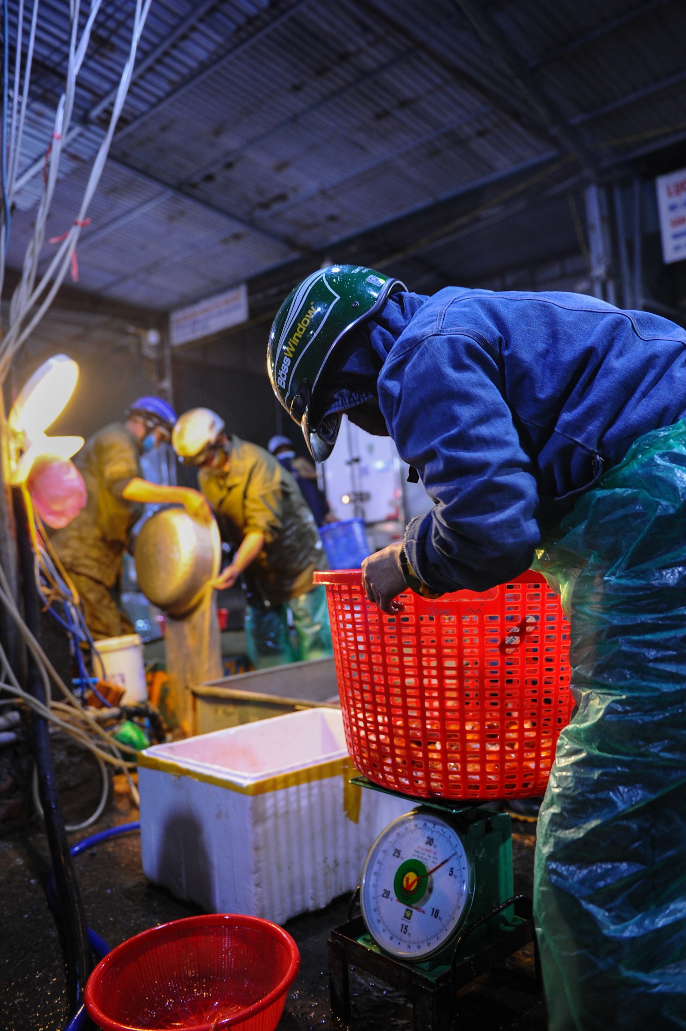 Tet ong cong ong tao anh 7