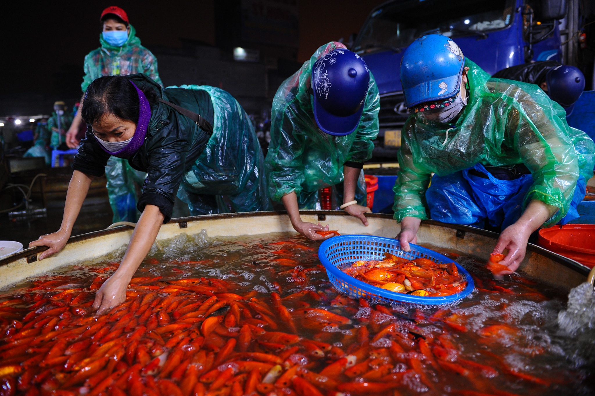 Cho ca lon nhat Ha Noi tap nap truoc ngay Tao quan hinh anh