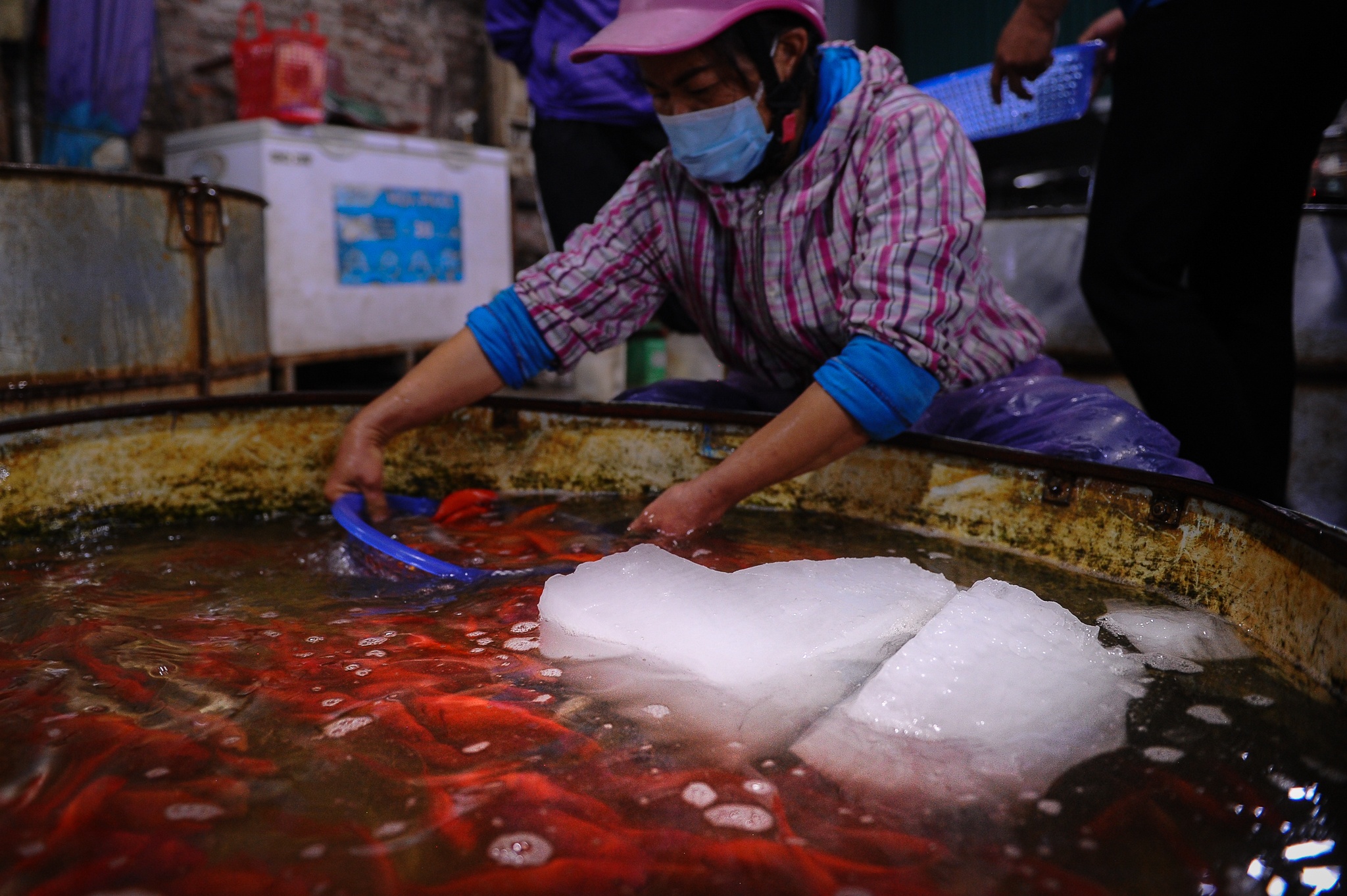 Tet ong cong ong tao anh 5