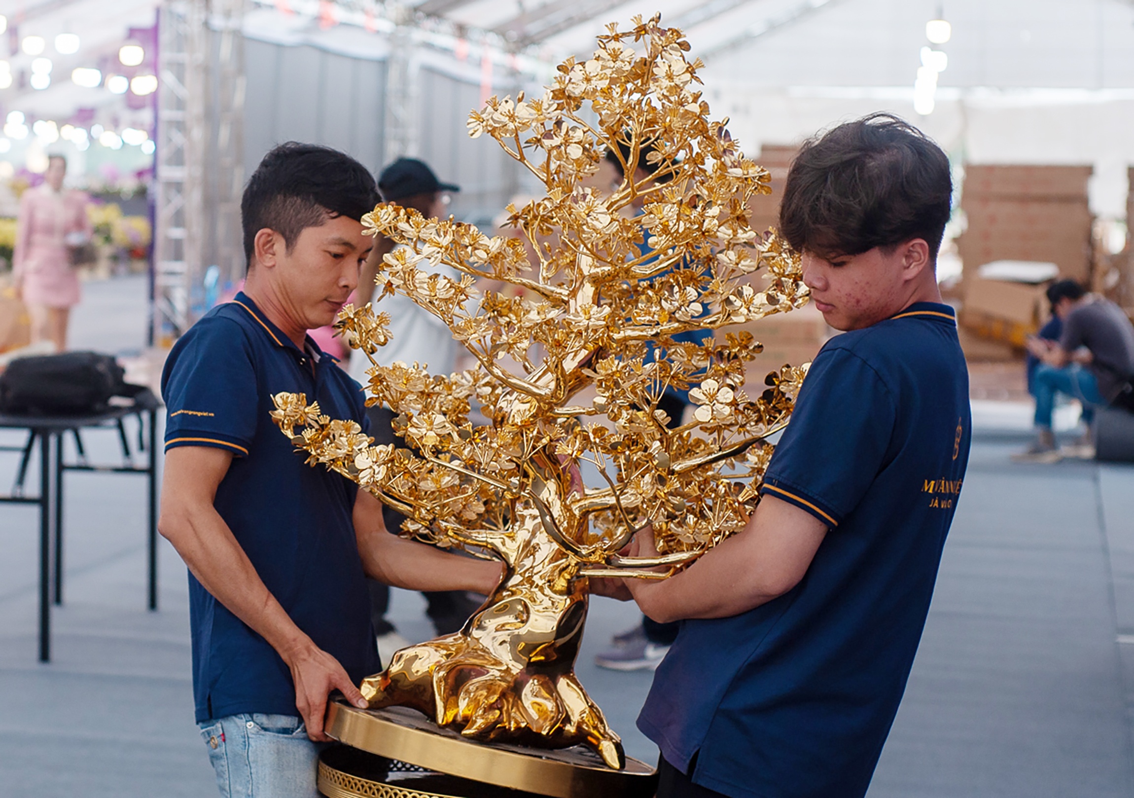 hoa tết ảnh 11 hoa tet anh 11