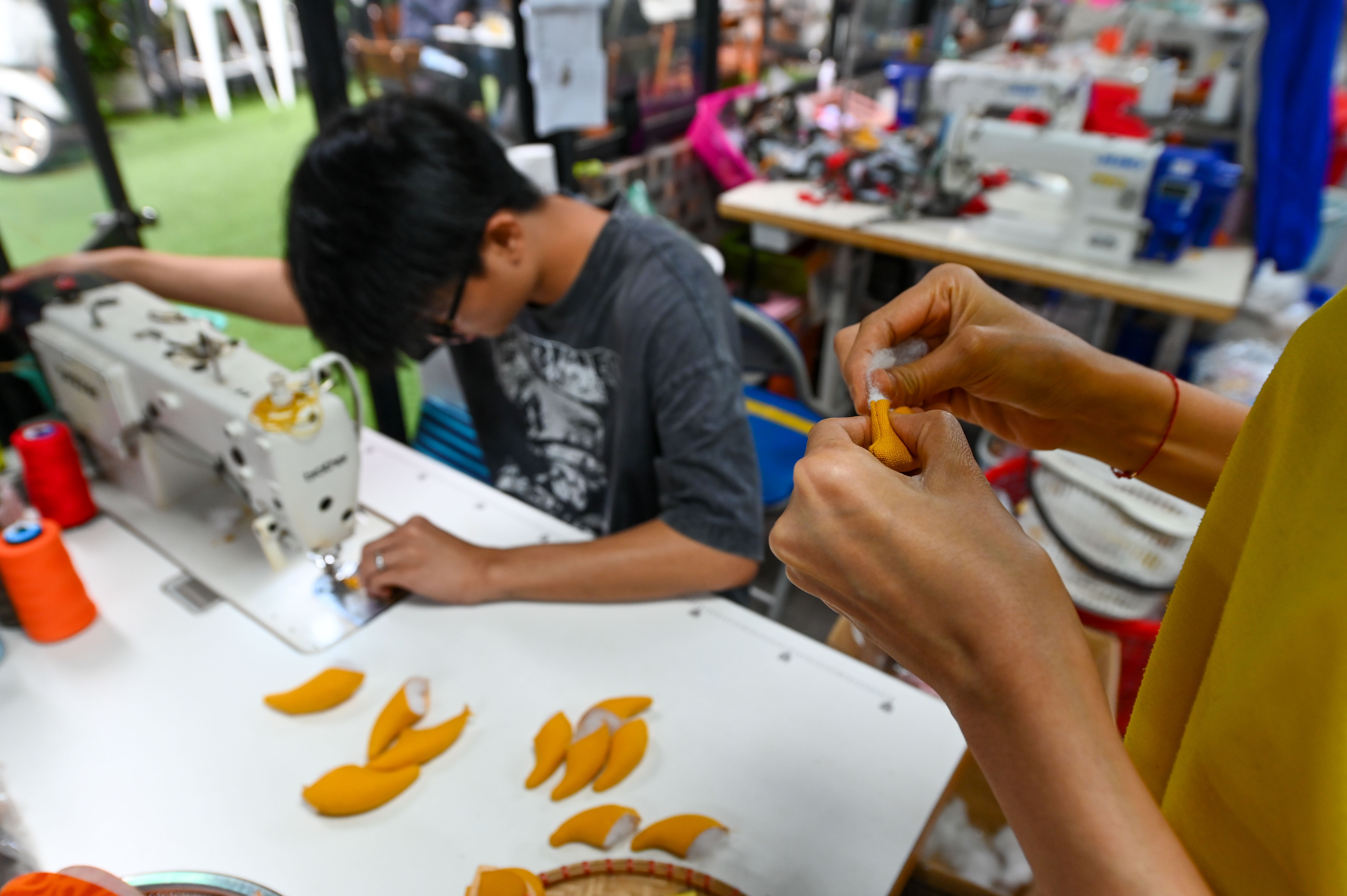 rong nhoi bong anh 10