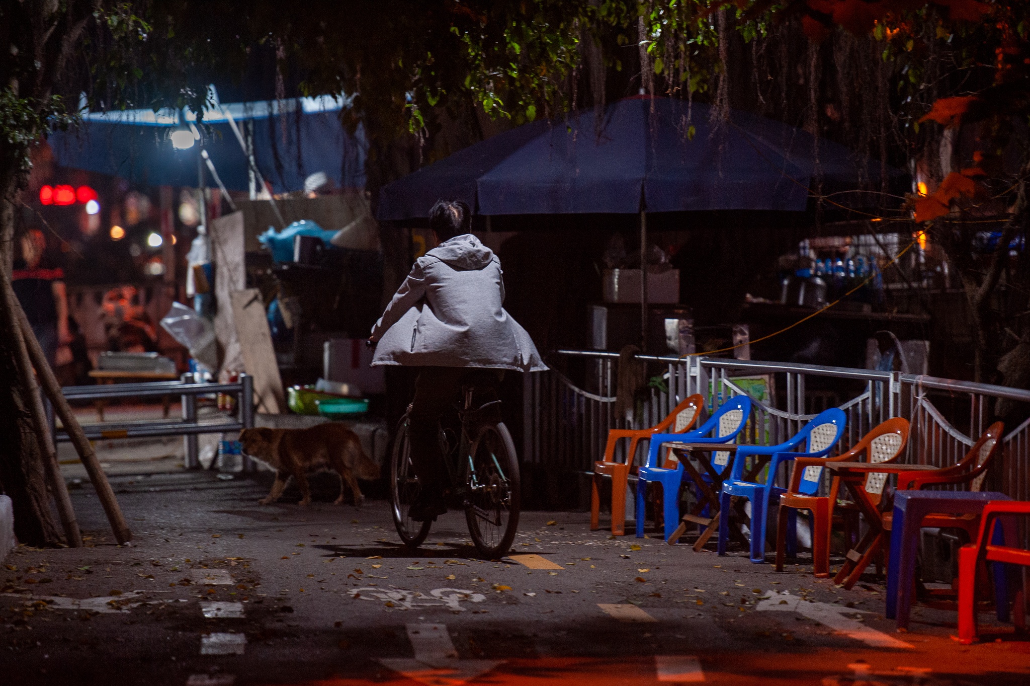 Duong danh cho xe dap anh 10