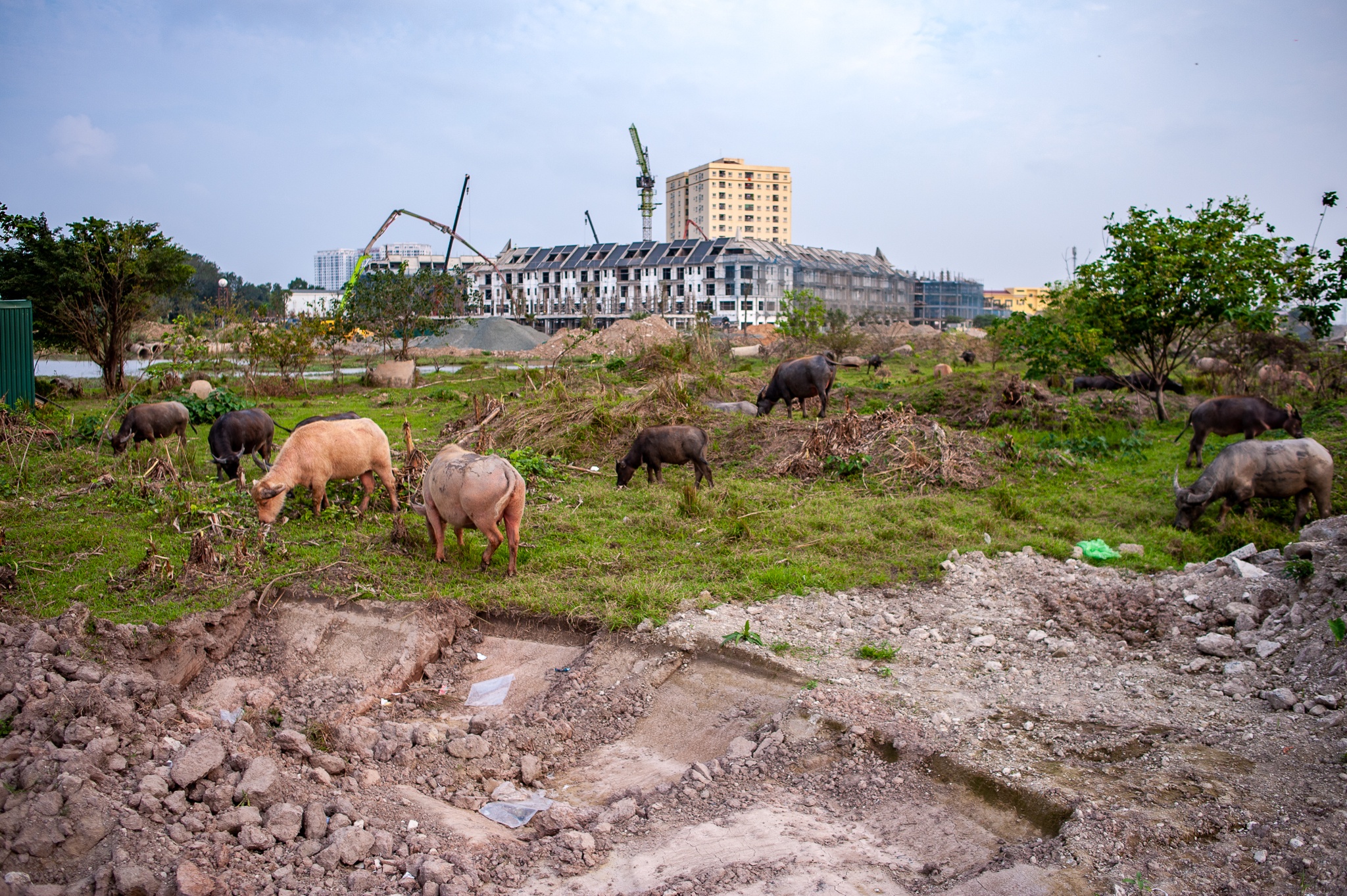 Duong vanh dai 3, 5 anh 4