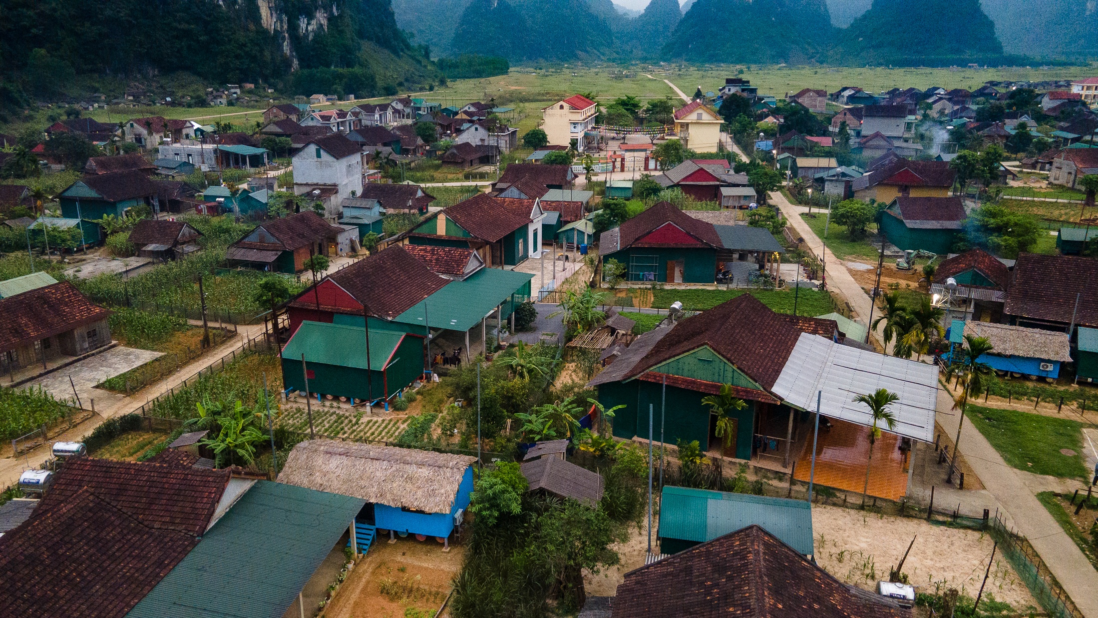 Tan Hoa anh 2