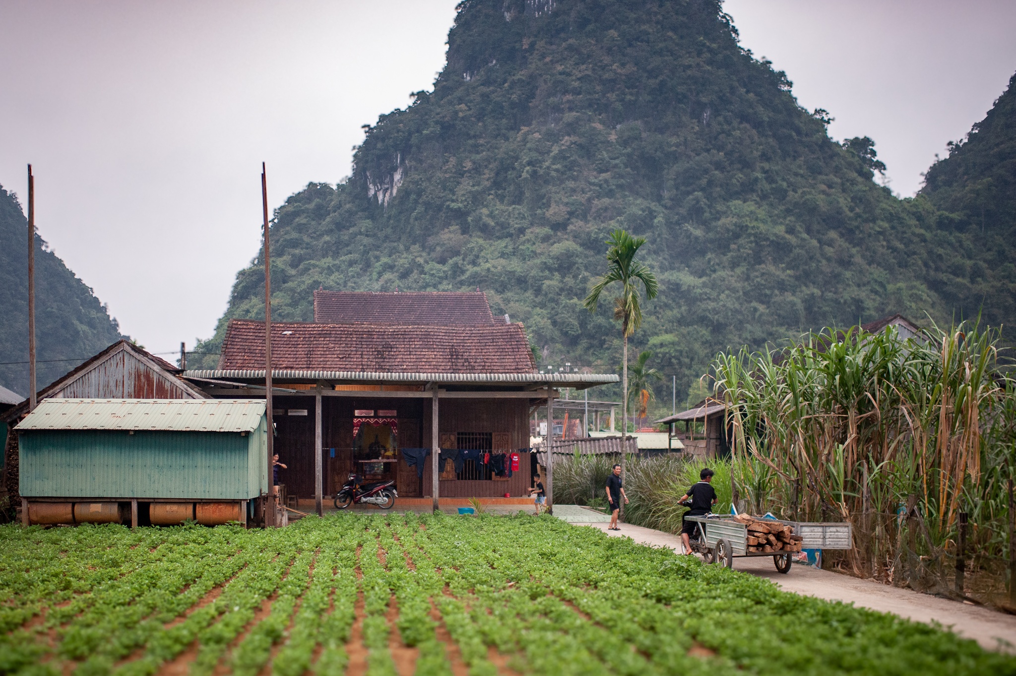 Tan Hoa anh 3