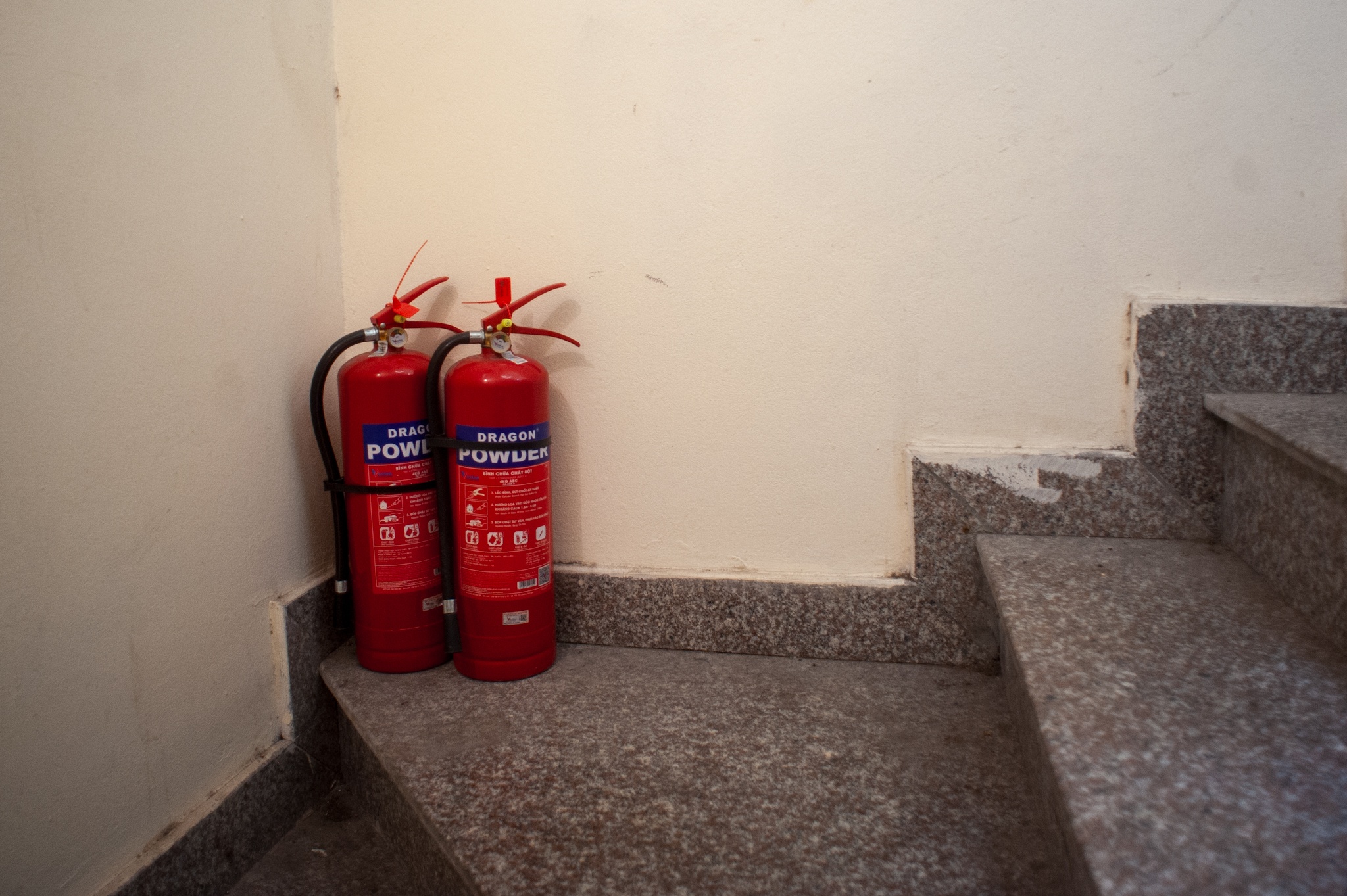 chay trung kinh anh 15