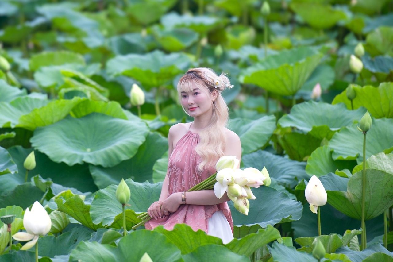 Dam sen Ha Noi bat dau kin 'nang tho' hinh anh