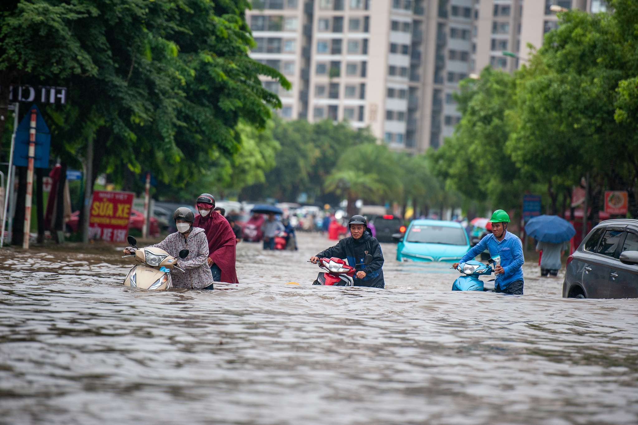 mua to gay ngap,  mua ngap ha noi,  ha noi ngap anh 1