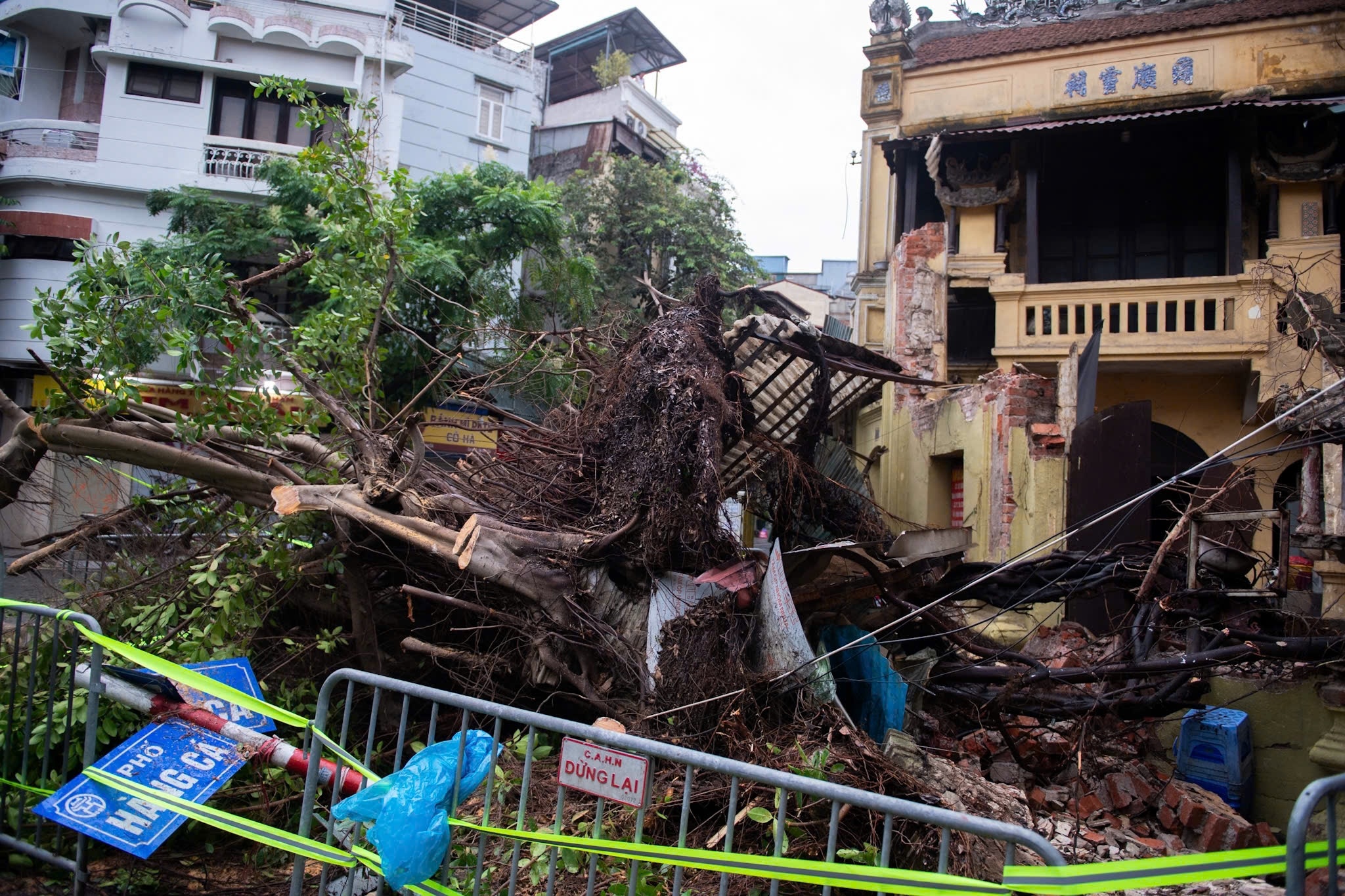 sieu bao Yagi anh 14