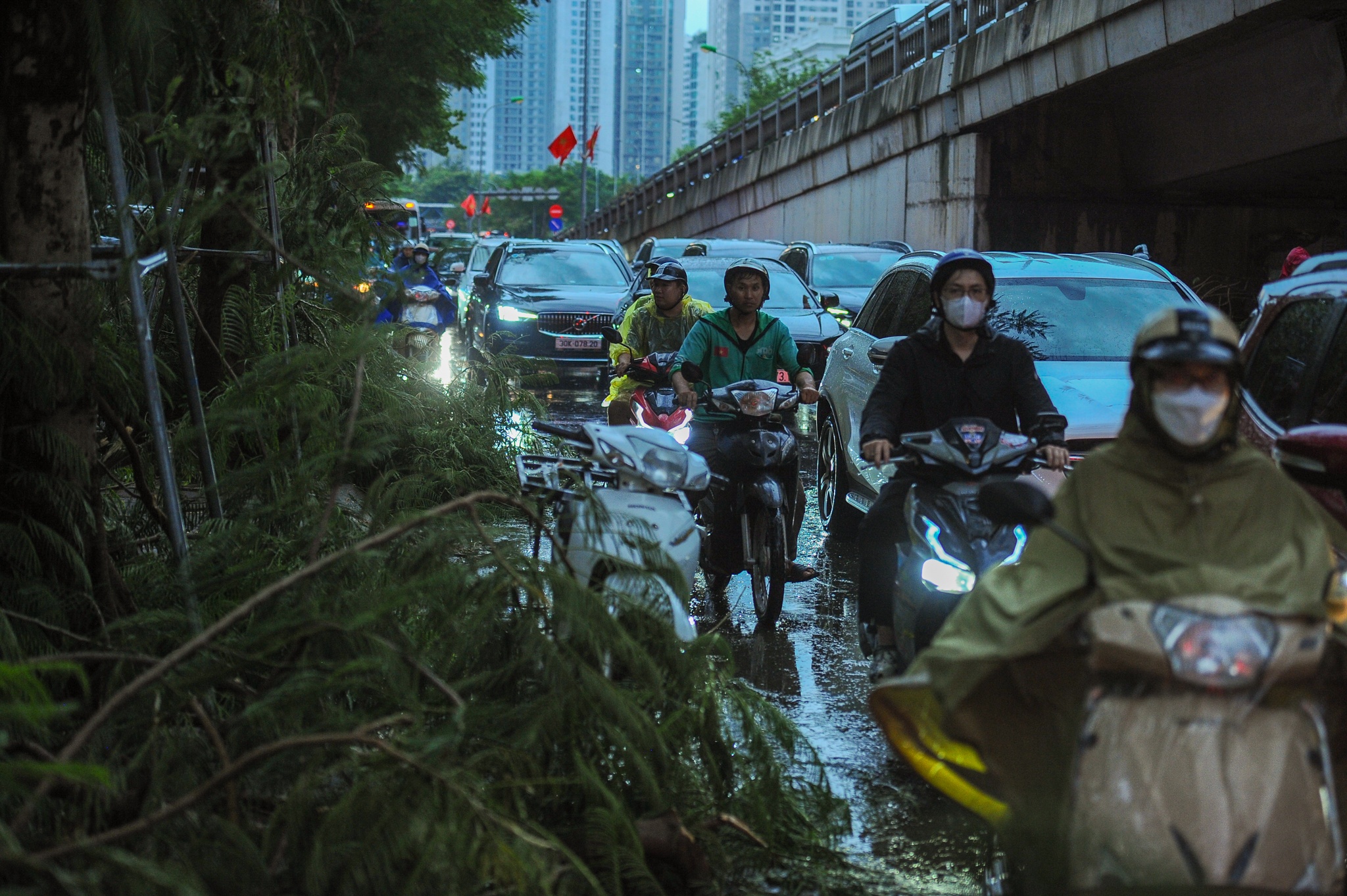 sieu bao Yagi anh 12
