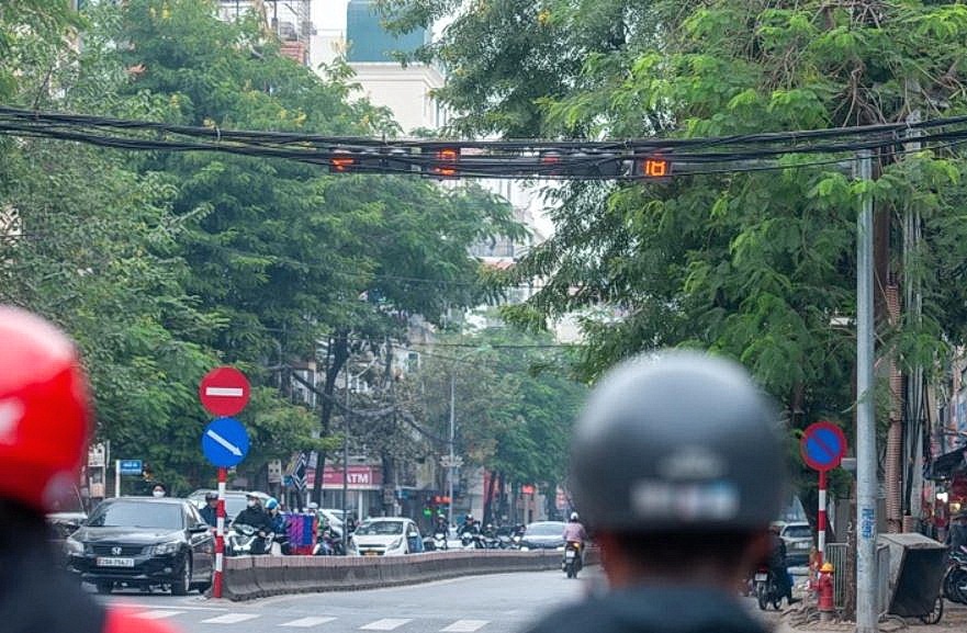 Bien bao, den giao thong lap lo sau tan cay hinh anh