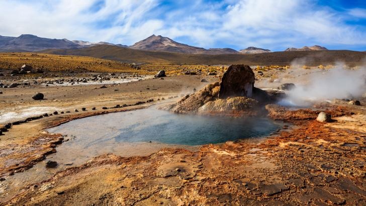 hinh anh sao hoa o trai dat anh 5