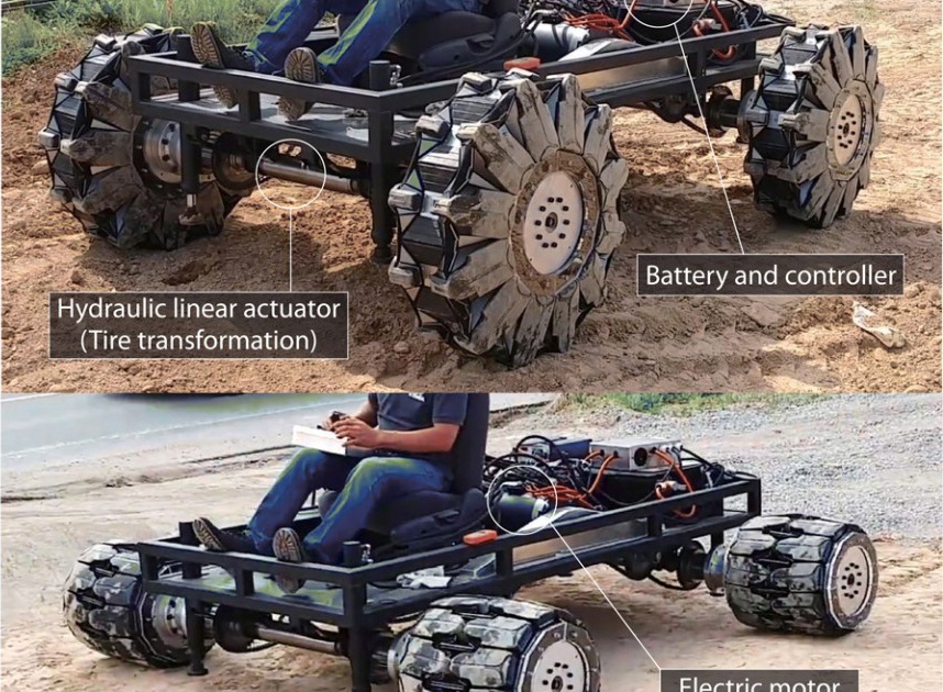 banh xe bien hinh anh 2