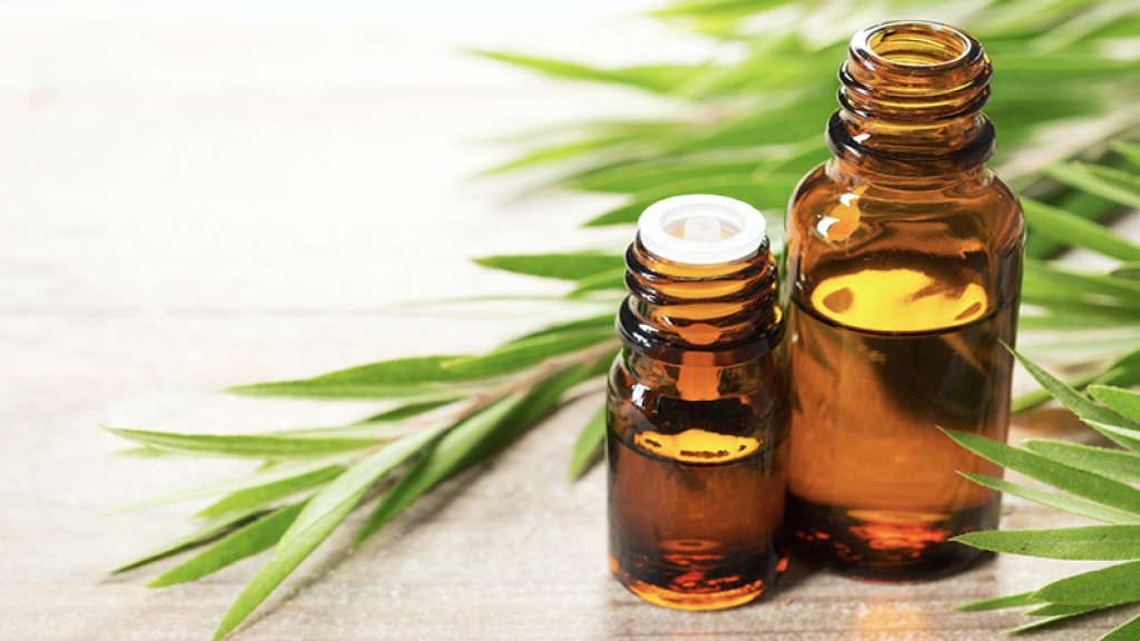 Dau tram - khuynh diep Ich Nhi anh 2