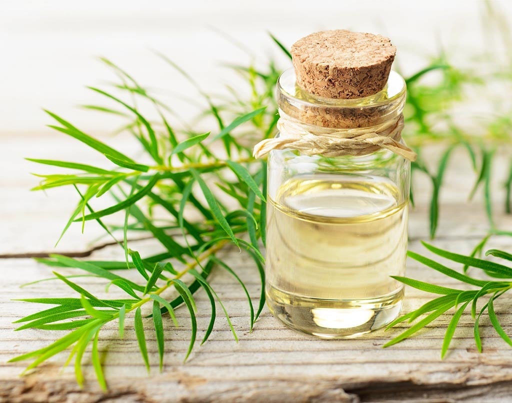 5 cach su dung dau tram de bao ve be trong mua dich Covid-19 hinh anh