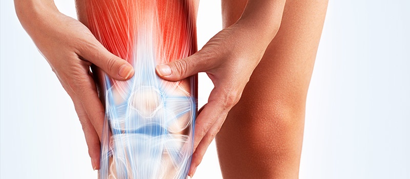 Thuc pham bao ve suc khoe Vitatree Glucosamine 1500 plus Shark Cartilage anh 2