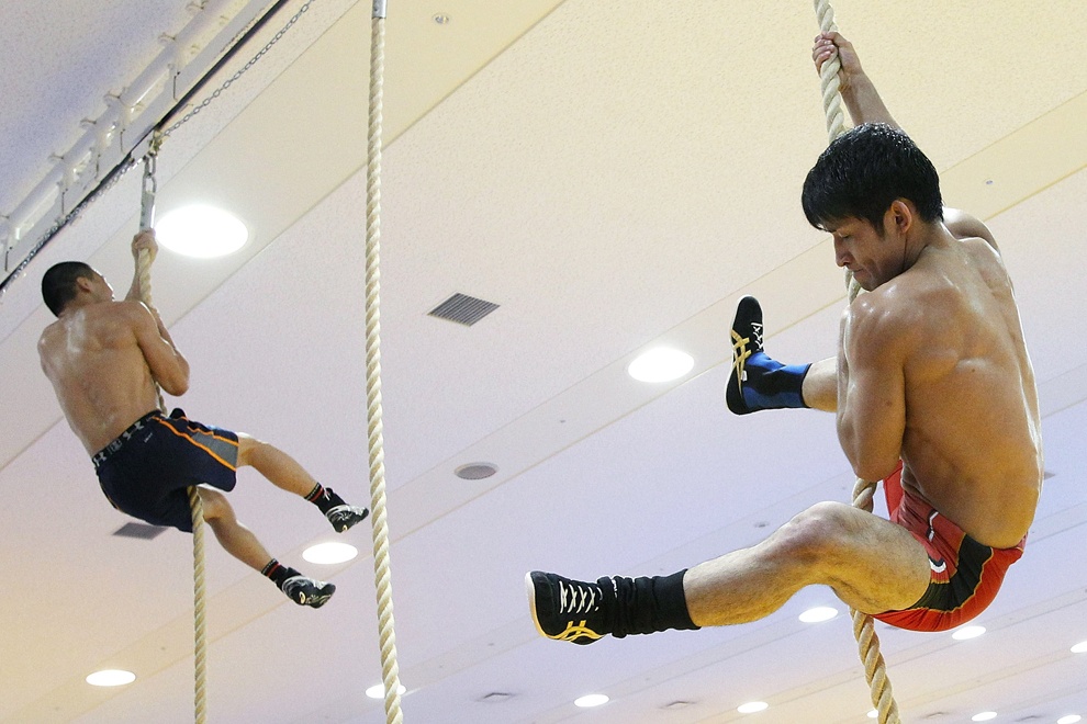 Vitatree Glucosamine 1500 plus Shark Cartilage anh 5