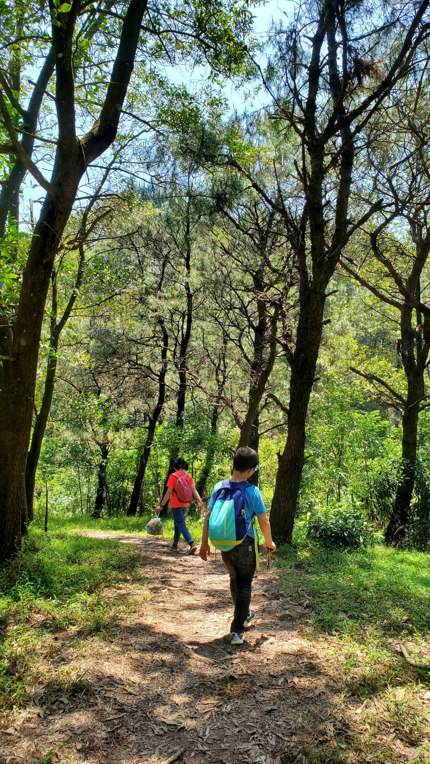 Cho con trekking anh 3