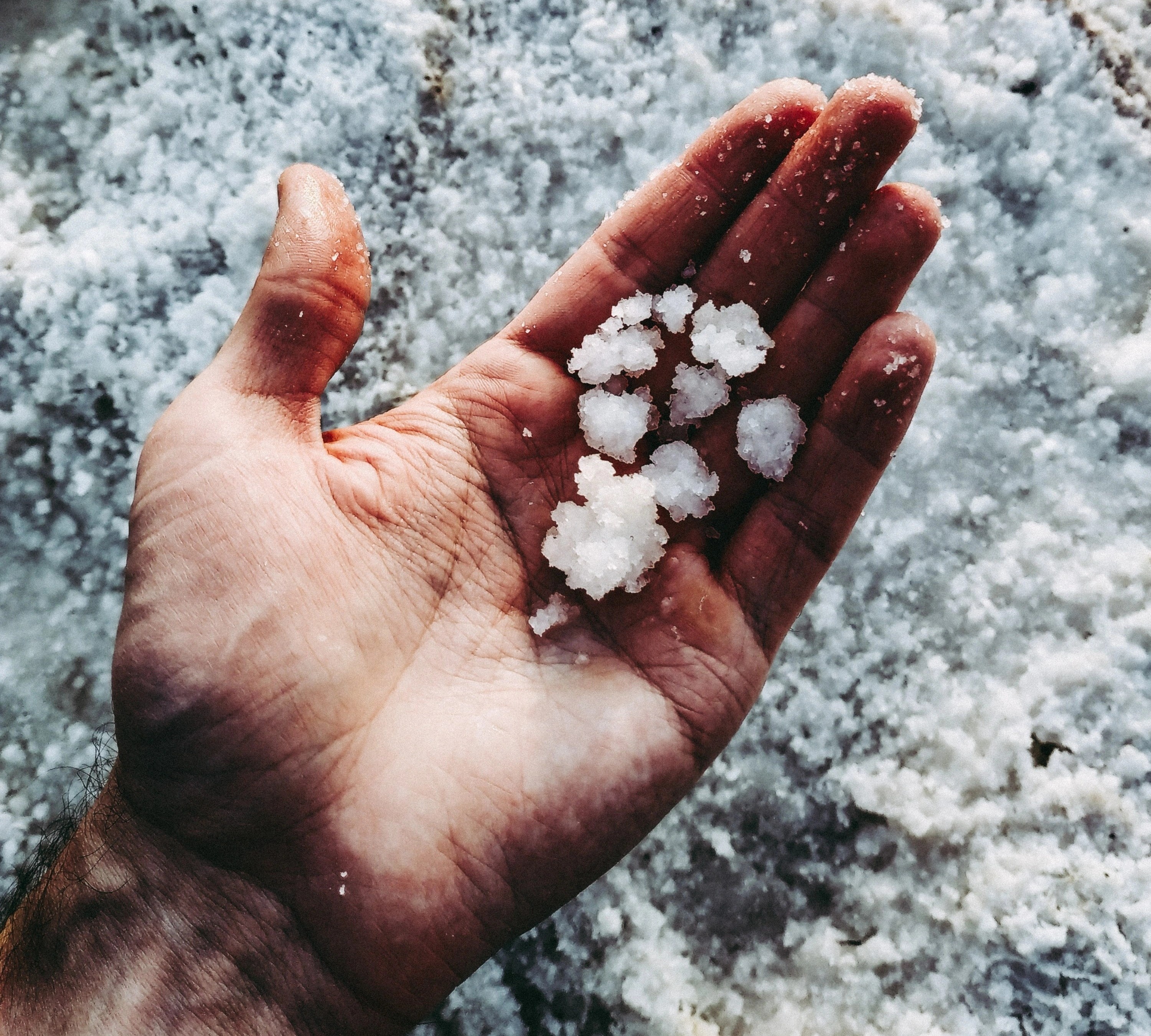 giam luong muoi anh 2