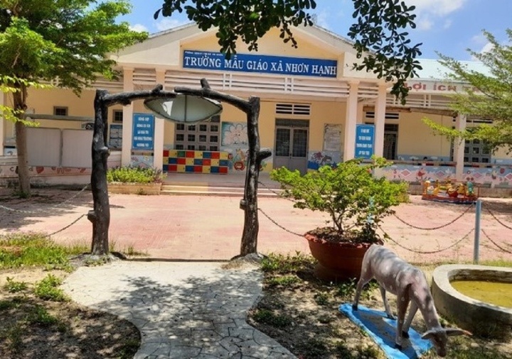 Lap to dieu tra vu co giao Binh Dinh to bi truong phong GD&DT miet thi hinh anh