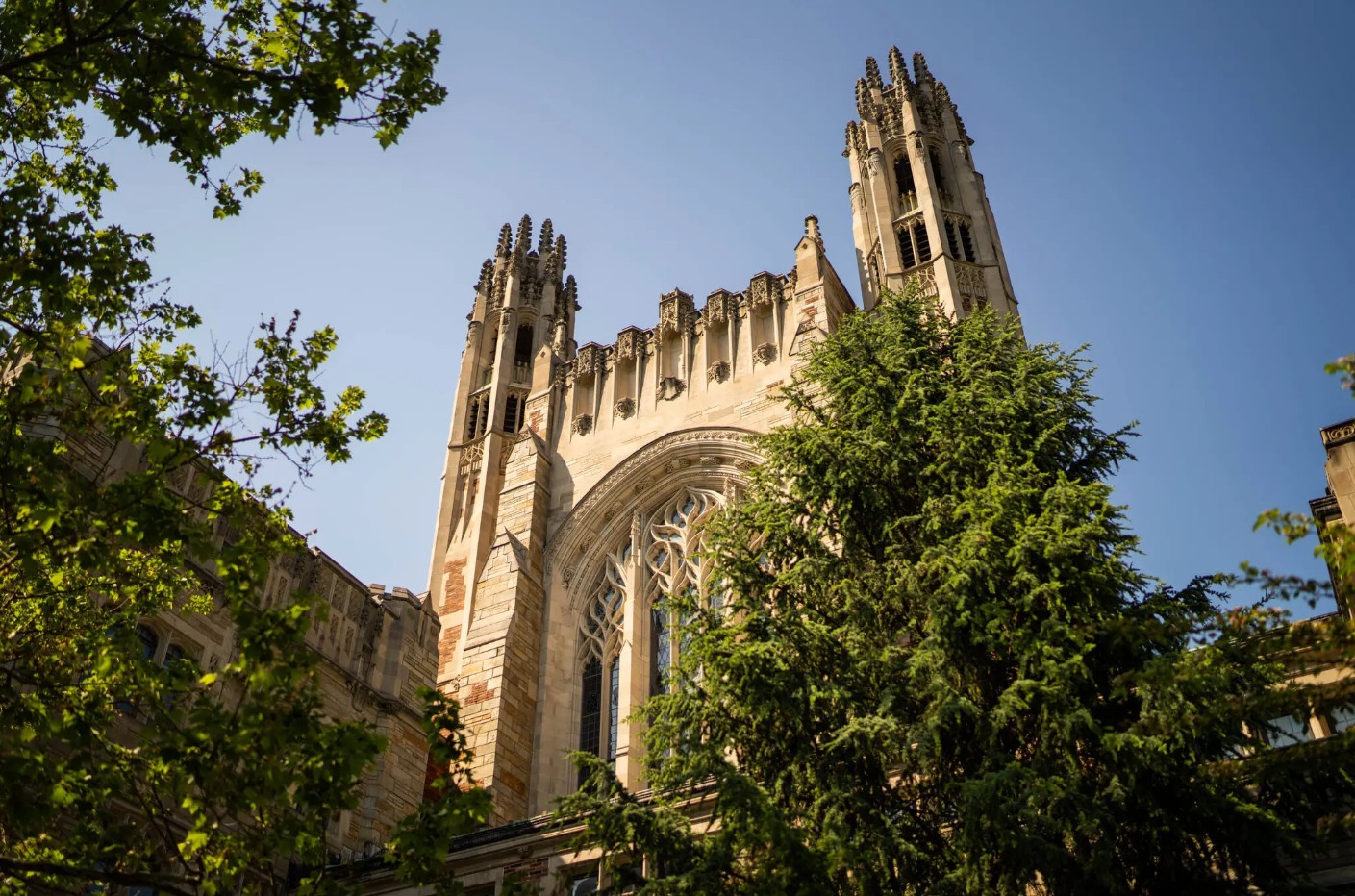 Dang sau su tay chay bang xep hang cac truong dai hoc hinh anh