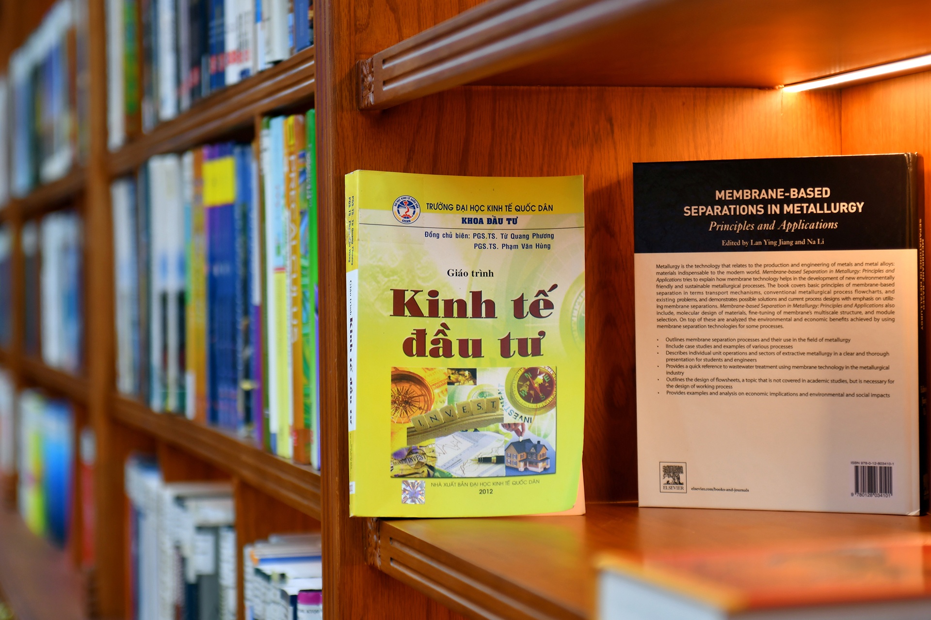 Thu vien Ha Noi anh 5