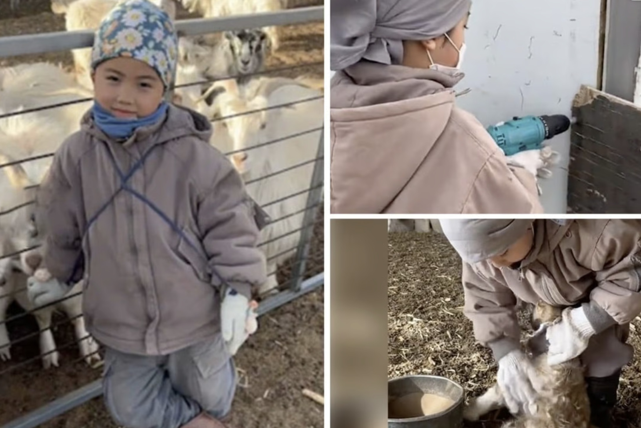 cau be cham de anh 1