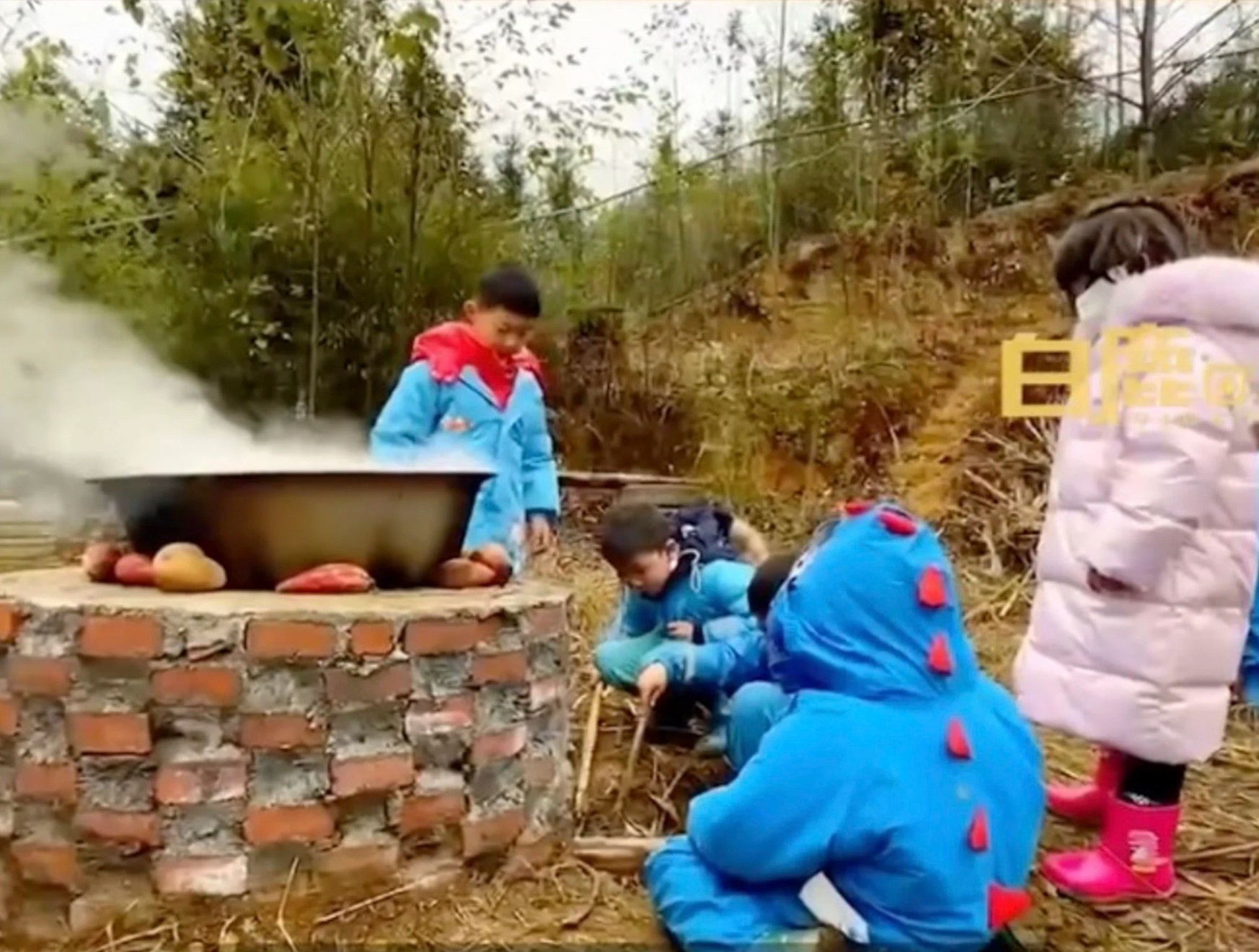 Khoa hoc day tre em lam dau phu gay sot tai Trung Quoc hinh anh