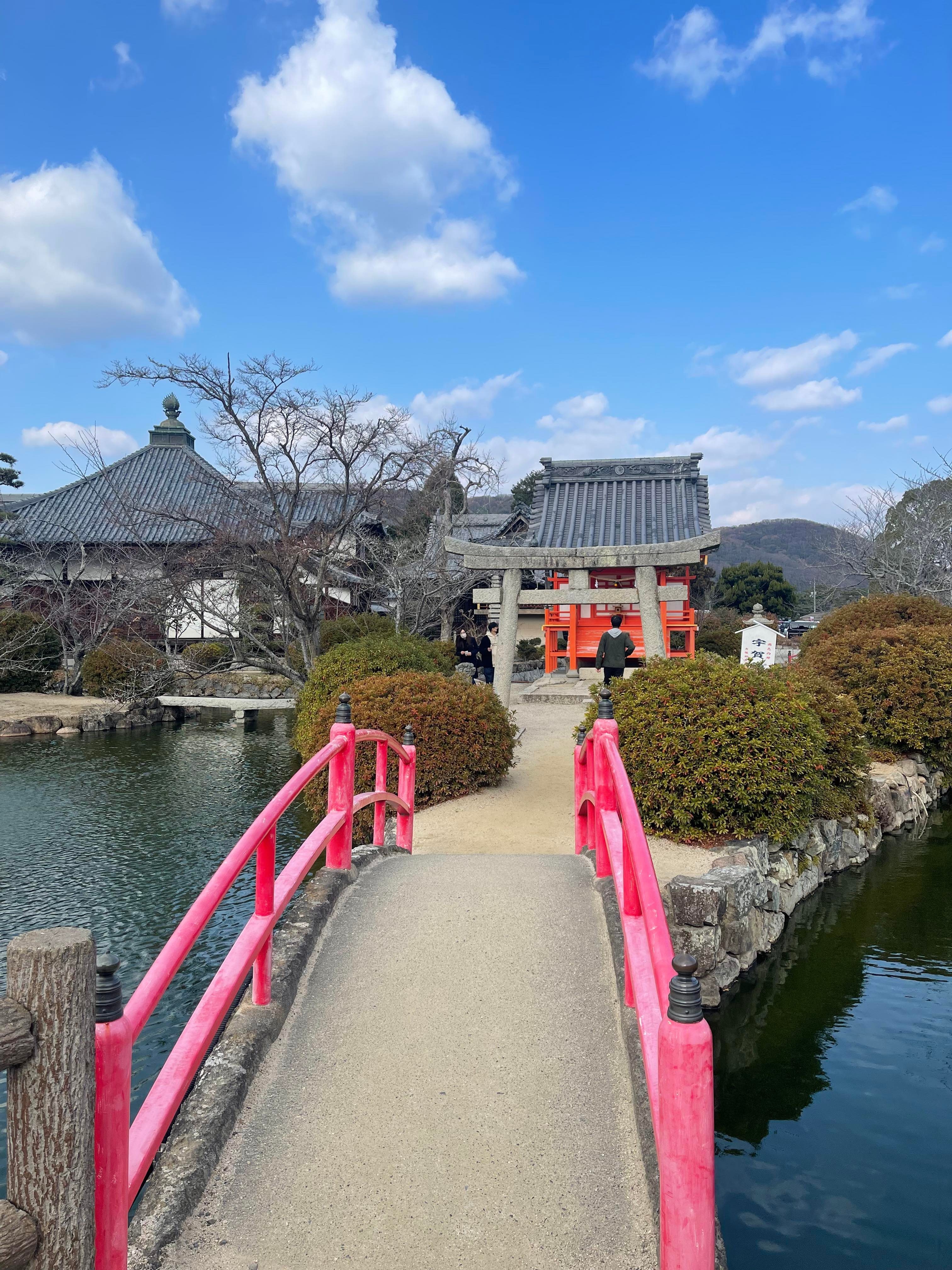 đón năm mới ảnh 10 don nam moi anh 10