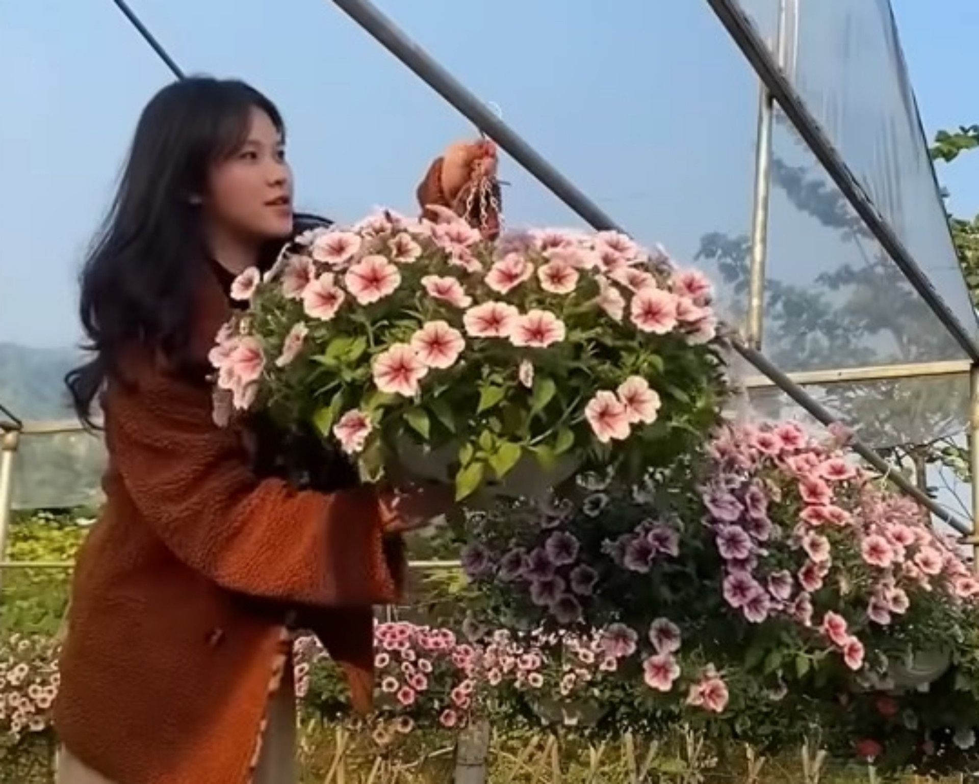 Cham 1.800 con heo o Dan Mach, nu sinh Viet nhan luong hau hinh hinh anh