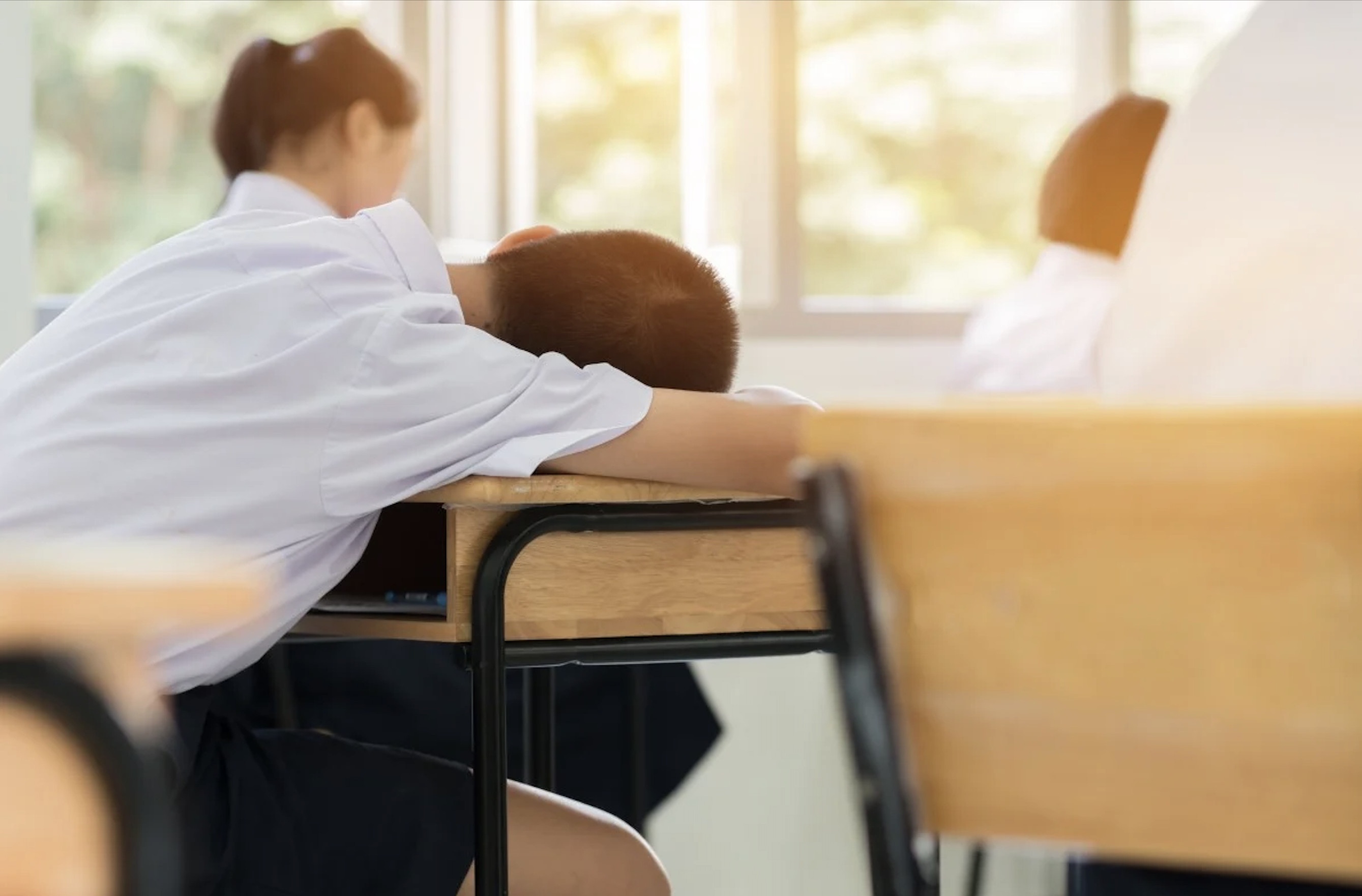 Cach giup hoc sinh khong ngu gat trong gio hoc hinh anh