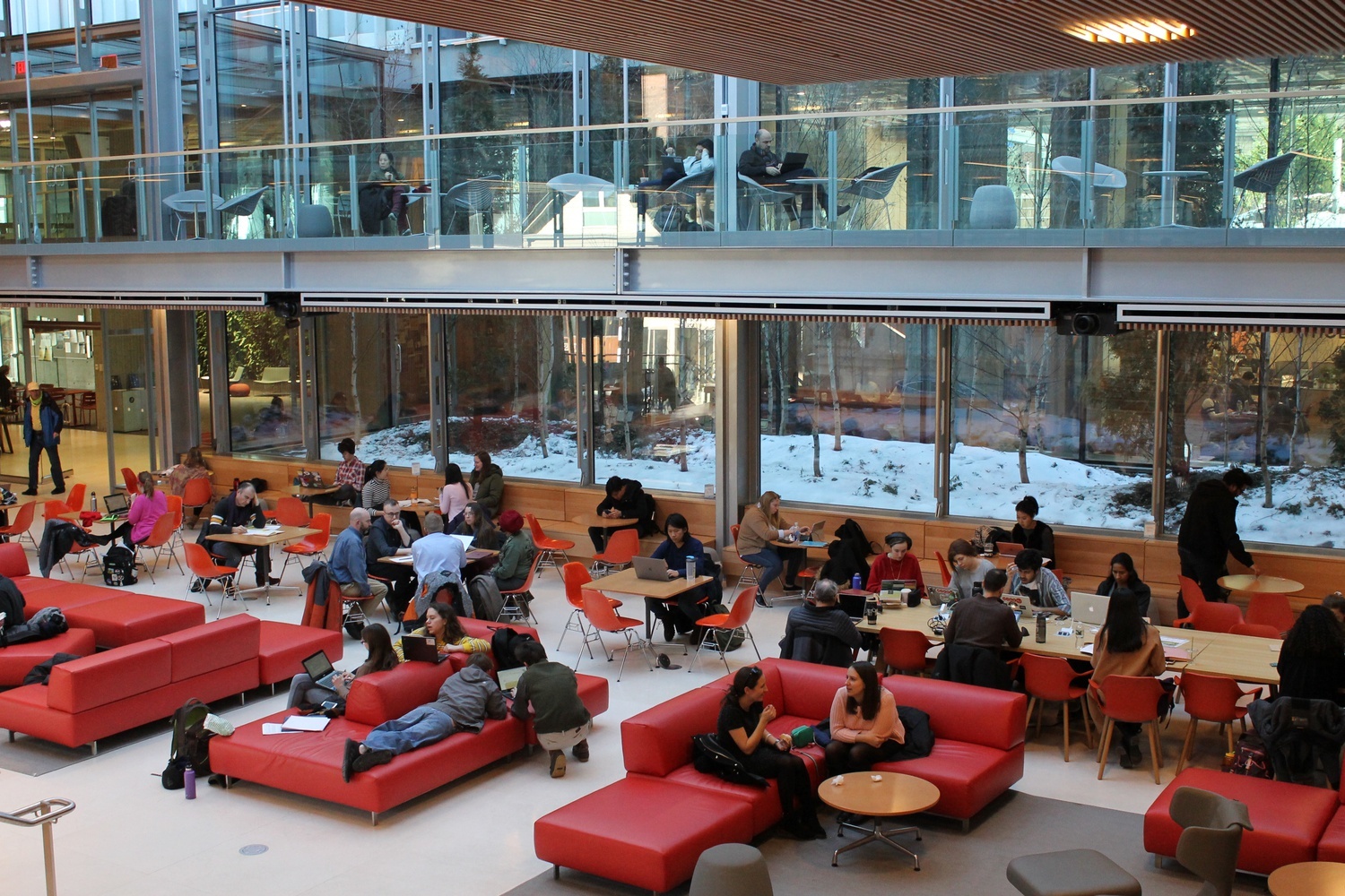 giac ngu tai Harvard anh 1