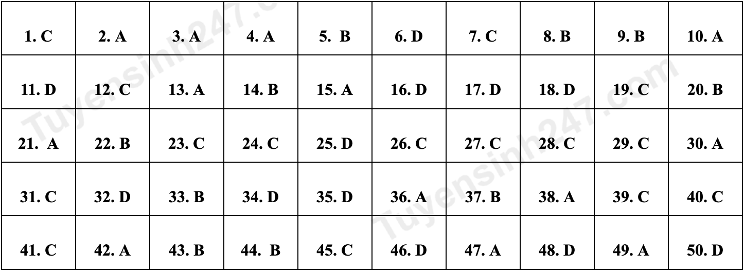dap an de minh hoa anh 6