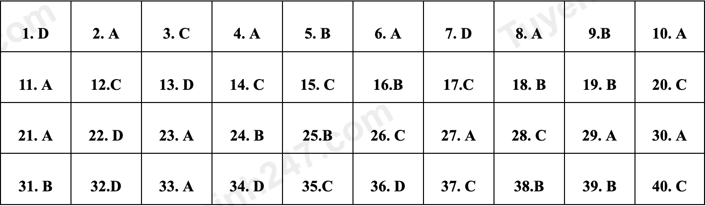 dap an de minh hoa anh 9