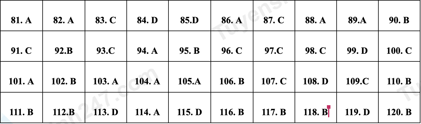 dap an de minh hoa anh 12