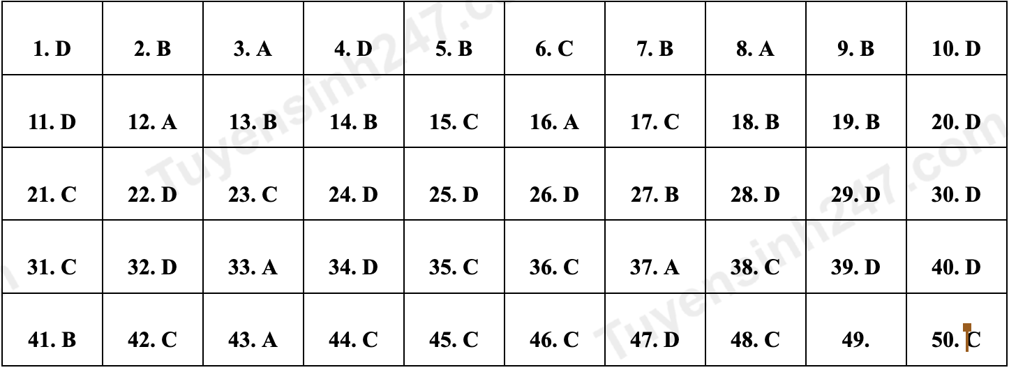 dap an de minh hoa anh 5