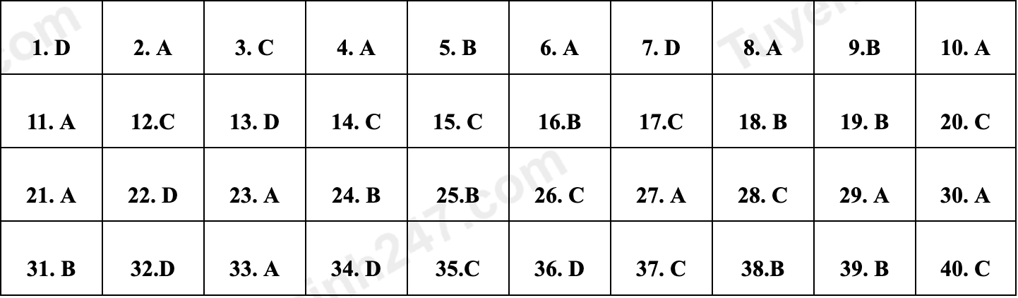 dap an de minh hoa anh 10