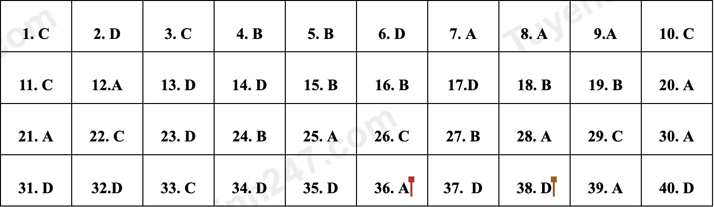 dap an de minh hoa anh 8