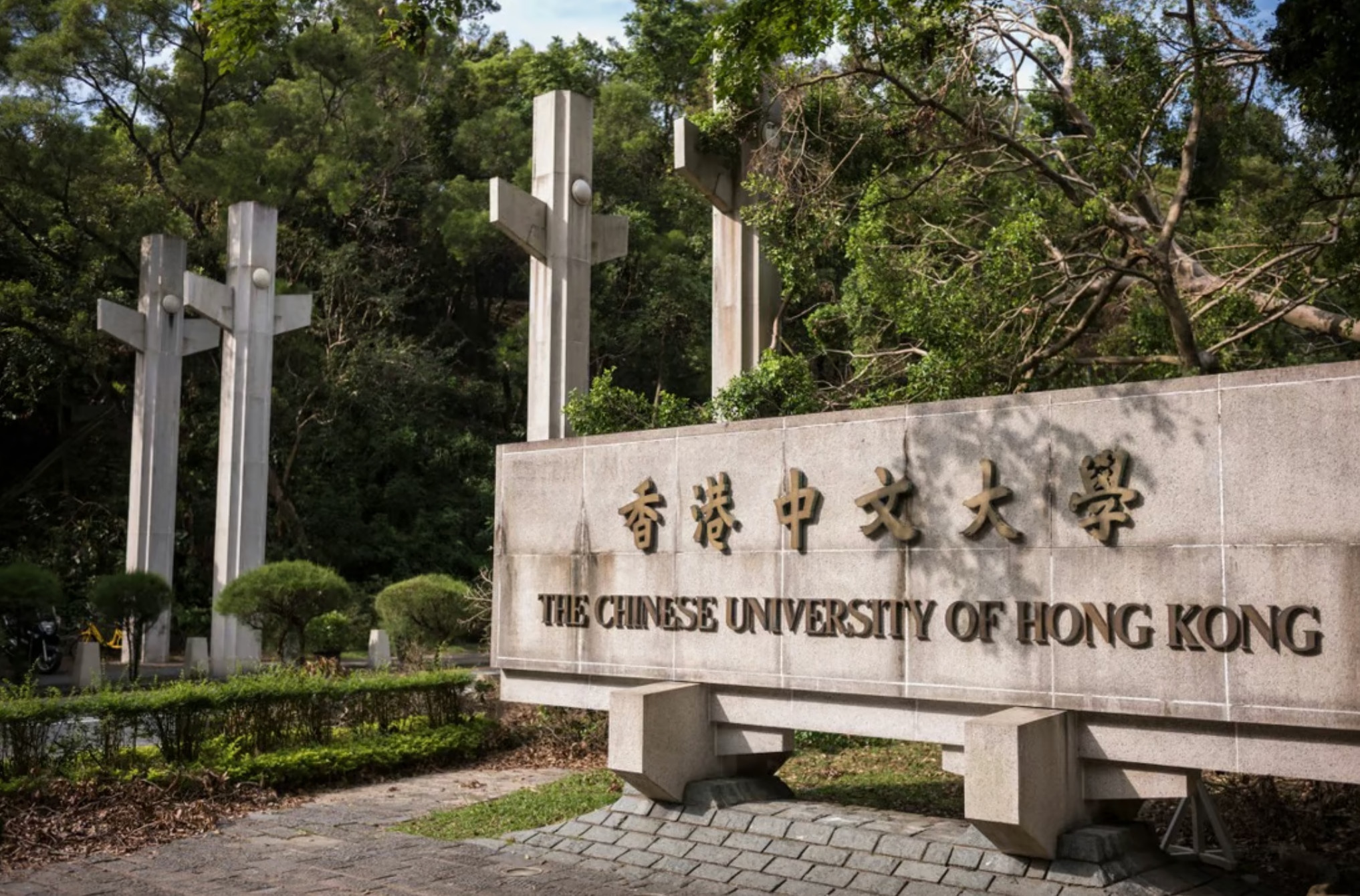 Sinh vien to dai hoc o Hong Kong phan biet doi xu hinh anh