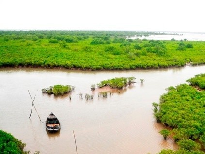 Hoc sinh Ha Noi tu vong khi trai nghiem bat ngao hinh anh
