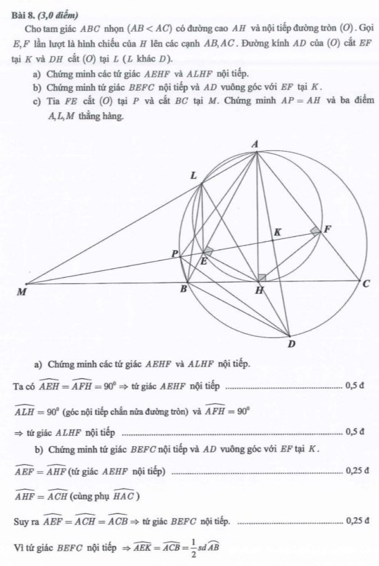 dap an chinh thuc anh 7