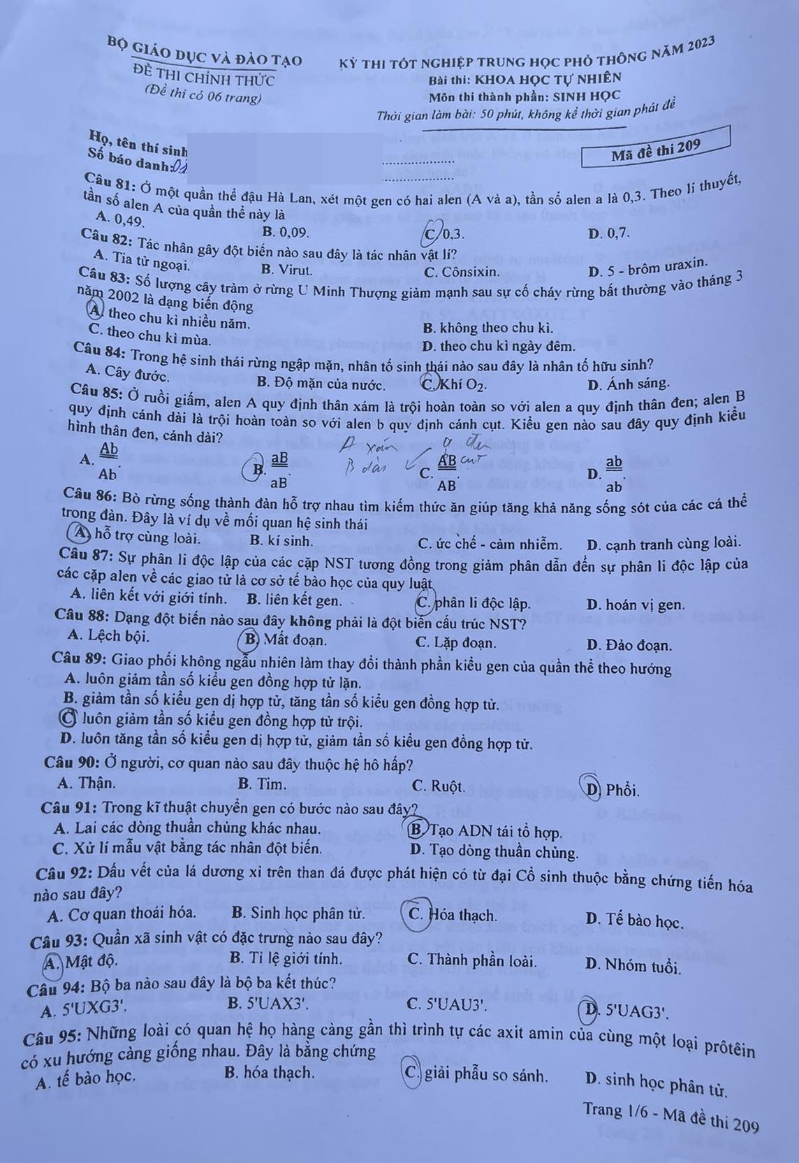 dap an Sinh hoc anh 2