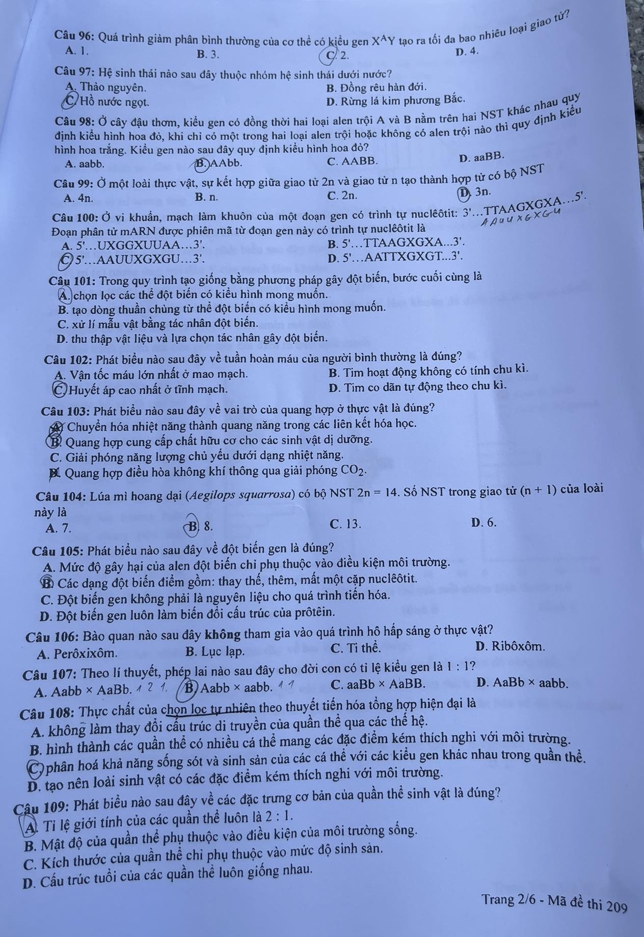 dap an Sinh hoc anh 3