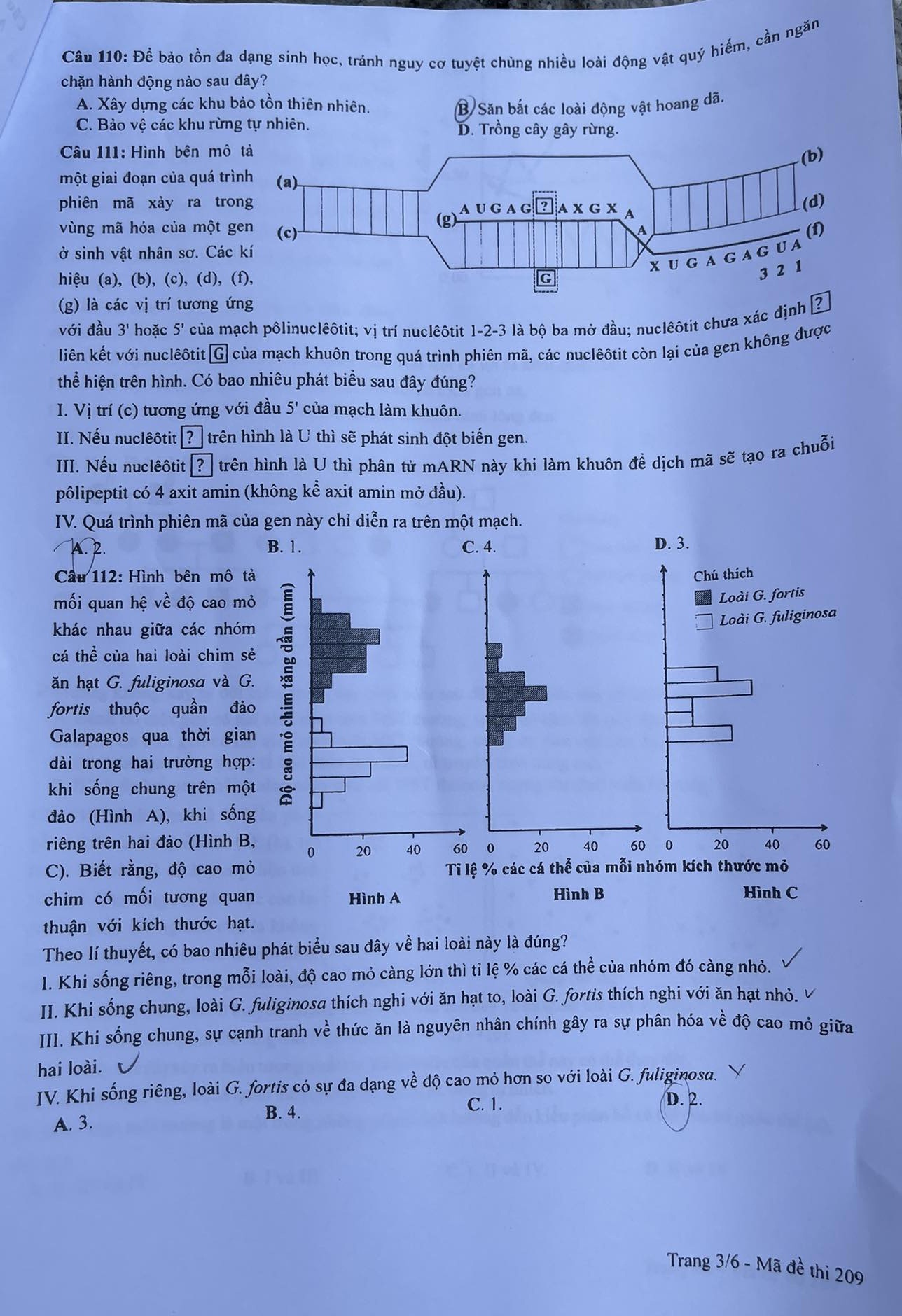 dap an Sinh hoc anh 4